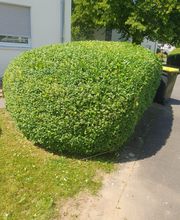 Ch-Clean - Gebäudereinigung & Objektservice Bild 17