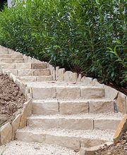 Team Schaad AG Bild 3