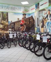 Gallery Cliente