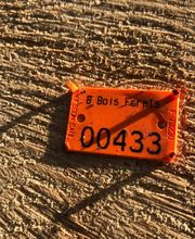 B Bois Forêts image 17