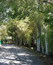 Camping Ruta del Purche imagen 8