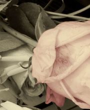 POMPES FUNEBRES MARBRERIE LAOT image 5