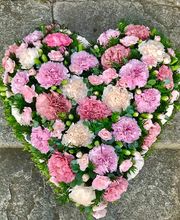 Lägere Blueme GmbH Bild 1