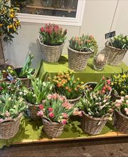 Grimm Obst u. Gemüsehandels AG Bild 4