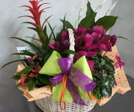 regalos-flores-04-g.jpg