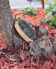 Barber and Chill image 7