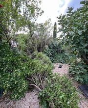 Rousset Services image 1