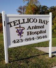 Tellico Bay Animal Hospital LLC image 3
