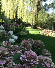 Royal Jardin sarl Bild 6