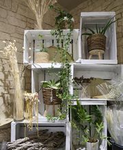 Fleurs Ô Naturel image 8