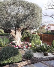 JARDIN.PNG