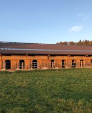 Pferdepensionsstall Bild 12