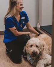 Caring Hands Animal Hospital - Ashburn image 1
