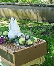 Hochzeitstauben Burlet Bild 5