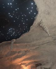 Salt Therapy Grotto & Spa image 5