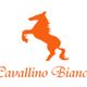 Weisses Rössel Cavallino Bianco