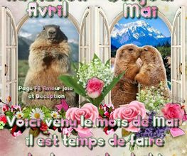 Landrau SARL image 13