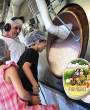 Anis De Flavigny image 1