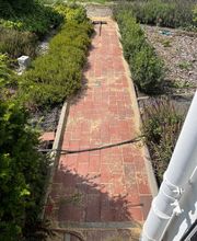 Haus-&Gartenservice Rose Bild 34