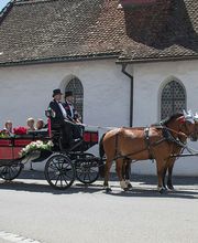 Kutschenerlebnis Bild 2