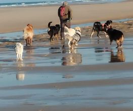 Educopoil33 image 1