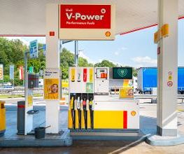 Shell Bild 1