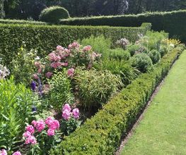 Gartenpflege Anita Stapper Bild 5