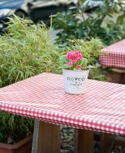 Schweinske Restaurant in Hamburg Harburg Eißendorf - Schnitzel, Burger & Frühstück Bild 4