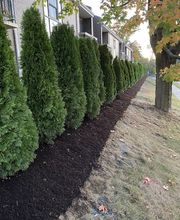 Lawn Care Plus Inc. image 3