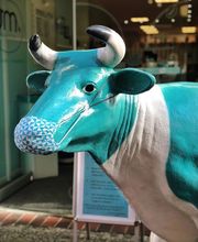 Eisbar MU Oldenburg Bild 1