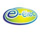 E-elec EURL