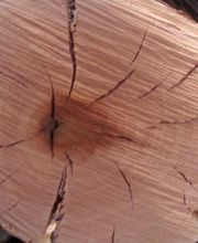 MONSIEUR PIRES JOSE image 4