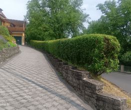 Gartenservice Kurz Bild 3