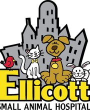 Ellicott Street Animal Hospital image 11