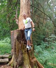 Baumpflege Dreyer Althoff Bild 4