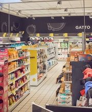 Arcaplanet immagine 1