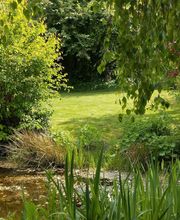 Daniela Wiesel Servicedienst Bild 10