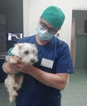 Centro Veterinario Maccauro immagine 10