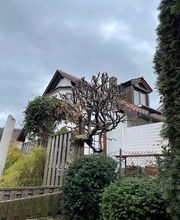 Gartenpflege & Landschaftspflege Sommer Bild 1