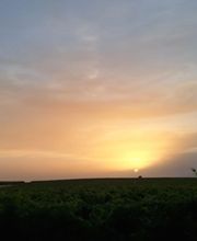 Bodega C. Mingo imagen 7