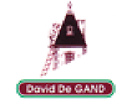 De Gand David