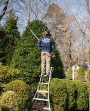 Landscape Solutions image 14