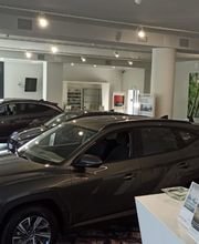 Gallery Cliente