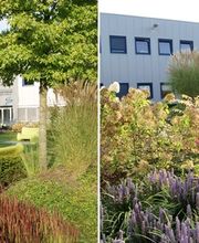 Herman Vaessen afbeelding 5