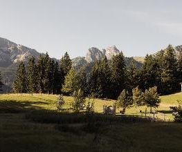 Berghotel Schlossanger Alp Bild 8