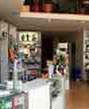 farmacia-lda-rosario-jimenez-interior-farmacia-01.jpg