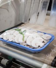 Gallery Professionale