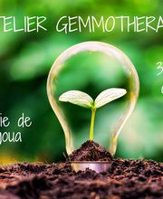 Pharmacie Roumagoua Totum image 4