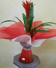 arreglo-bromelia-03.jpg