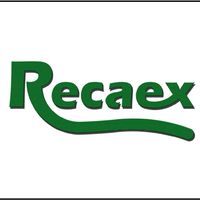 logorecaex.png